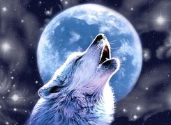 Wyjący, Wilk, Księżyc