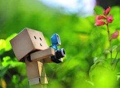 Danbo, Fotograf