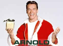 Arnold Schwarzenegger, Prezent