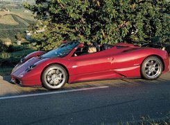 Pagani Zonda, Kabriolet