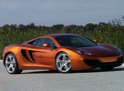 McLaren MP4-12C, Maska