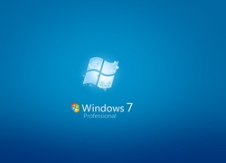 Windows 7, Professional