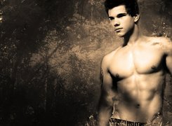 Taylor Lautner