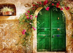Dom, Zielone, Drzwi, Kwiaty