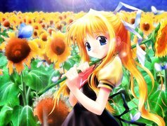 Anime, Słoneczniki