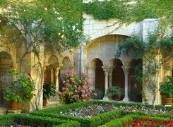 Cloister, Francja, Ogród, Kolorowe, Kwiatki