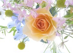 Bukiet, Kwiatów, Herbaciana, Róża