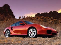 911 Turbo, Czerwone