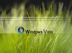 Logo, Windows, Vista, Zielona, Trawa