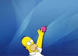 Homer, Chwytający, Apple