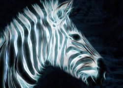 Zebra, 3D, Paski