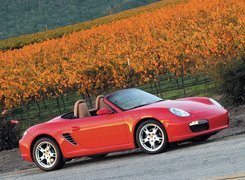 Czerwone Porsche, Cabrio