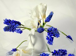Niebieskie, Białe, Kwiaty, Wazon