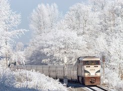 Pociąg, Zima