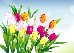 Kolorowe, Tulipany, Grafika 2D