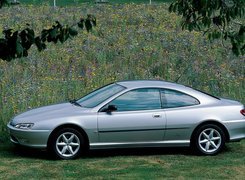 Peugeot 406, Coupe