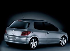 Peugeot 307, Sport