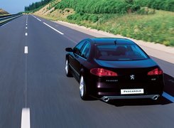 Peugeot 607, SPORT