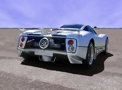 Pagani Zonda, Tył