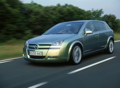 Opel Signum