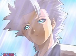 Kapitan, Toshiro Hitsugaya