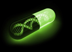 Kapsułka, Łańcuch, DNA
