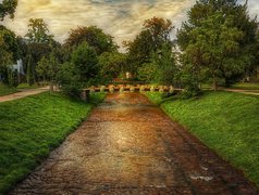 Park, Rzeczka, Mostek