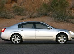 Srebrny, Nissan Maxima