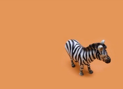 Zabawka, Zebra