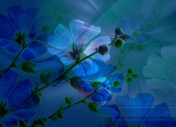 Kwiatki, Niebieskie, Tło