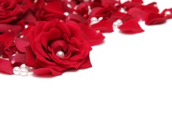 Czerwone, Róże, Perły