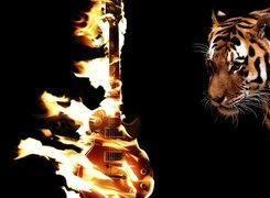 Płonąca, Gitara, Tygrys
