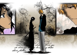 Rukia, Ichigo, Spotkanie