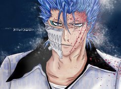 Grimmjow, Arrancar, Numer 6