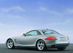 SLR