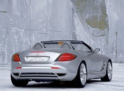 Vision, Mercedes SLR