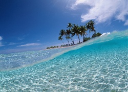 Palmy, Wyspa, Ocean