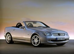 Srebrny, Mercedes SLK