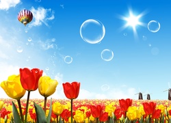 Tulipany, Balon, Wiosna