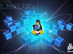 Linux, Pingwin, Klocki