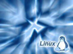 Linux, Pingwin, Niebieskie, Świetliste, Tło