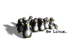 System, Linux, Gromadka, Pingwinów