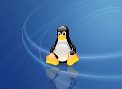 Linux, Niebieskie, Tło, Pingwin