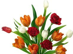 Bukiet, Kolorowych, Tulipanów, Róż