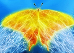 Motyl, 3D