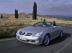 Mercedes SLK