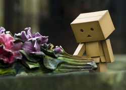 Danbo, Kwiaty