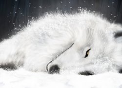 Śpiący, Biały, Wilk