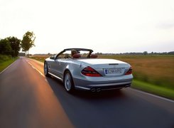 Mercedes, SL, Polana