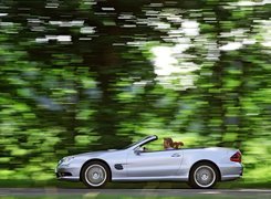 Mercedes, SL, Drzwa